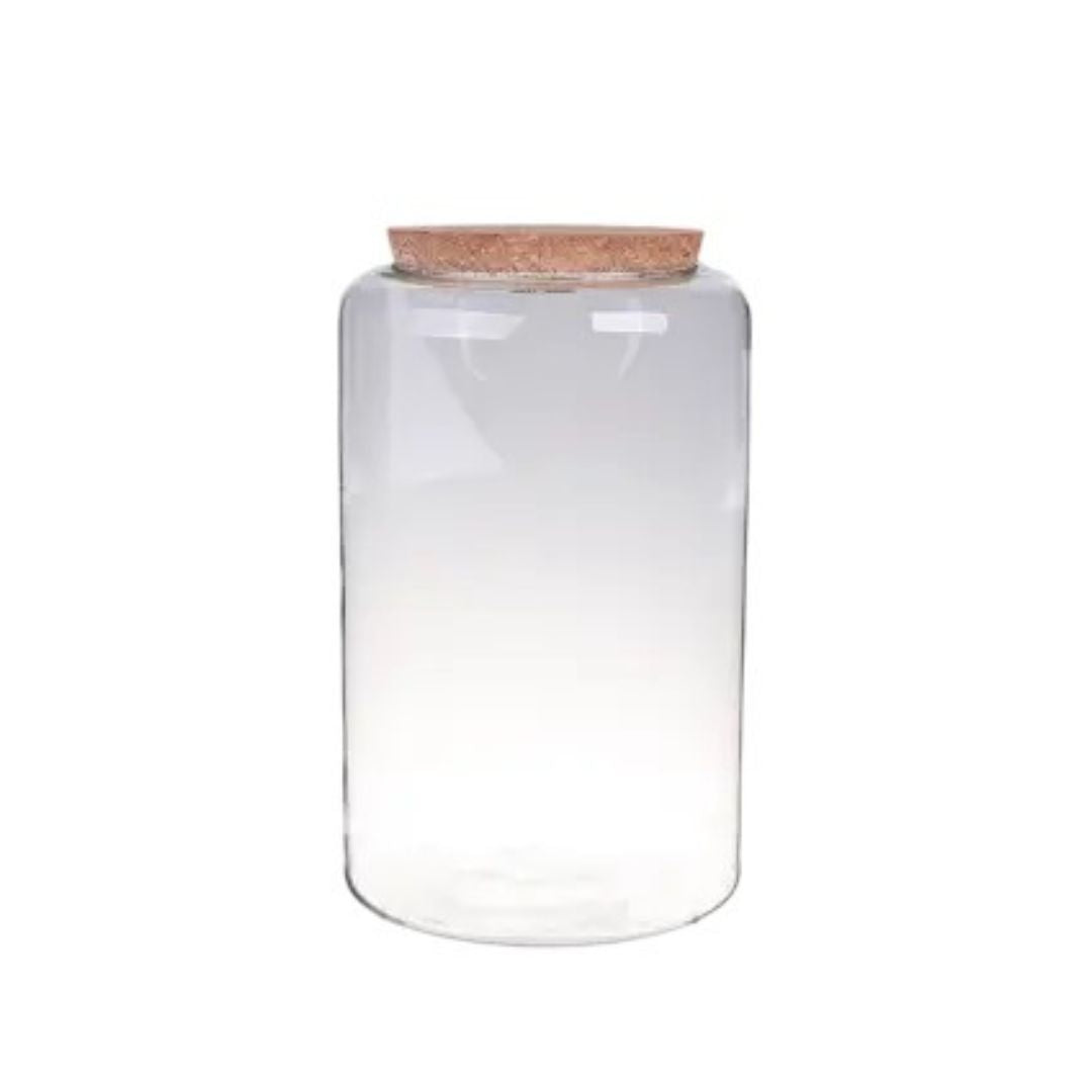 Terrarium Sur Mesure Vase 3