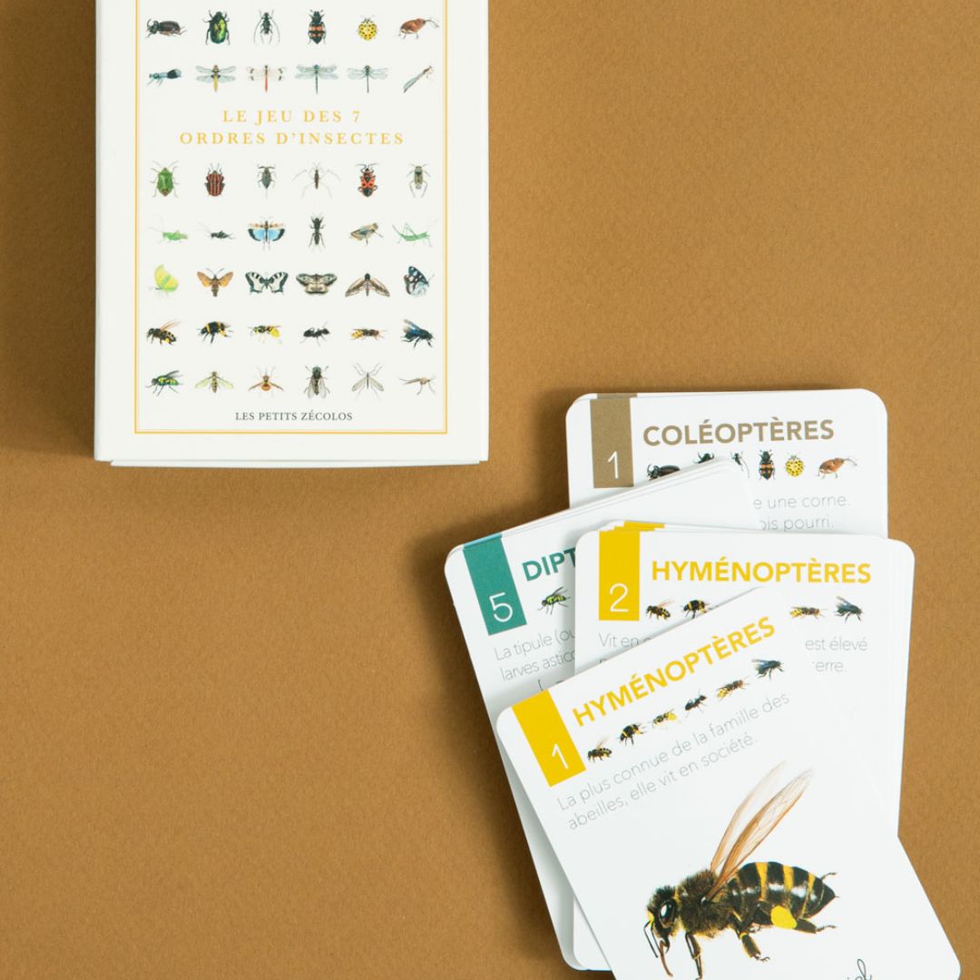 Jeu de Carte - 7 familles