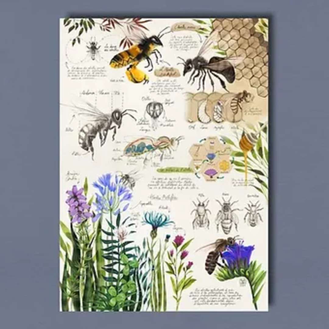 Affiche représentant les abeilles