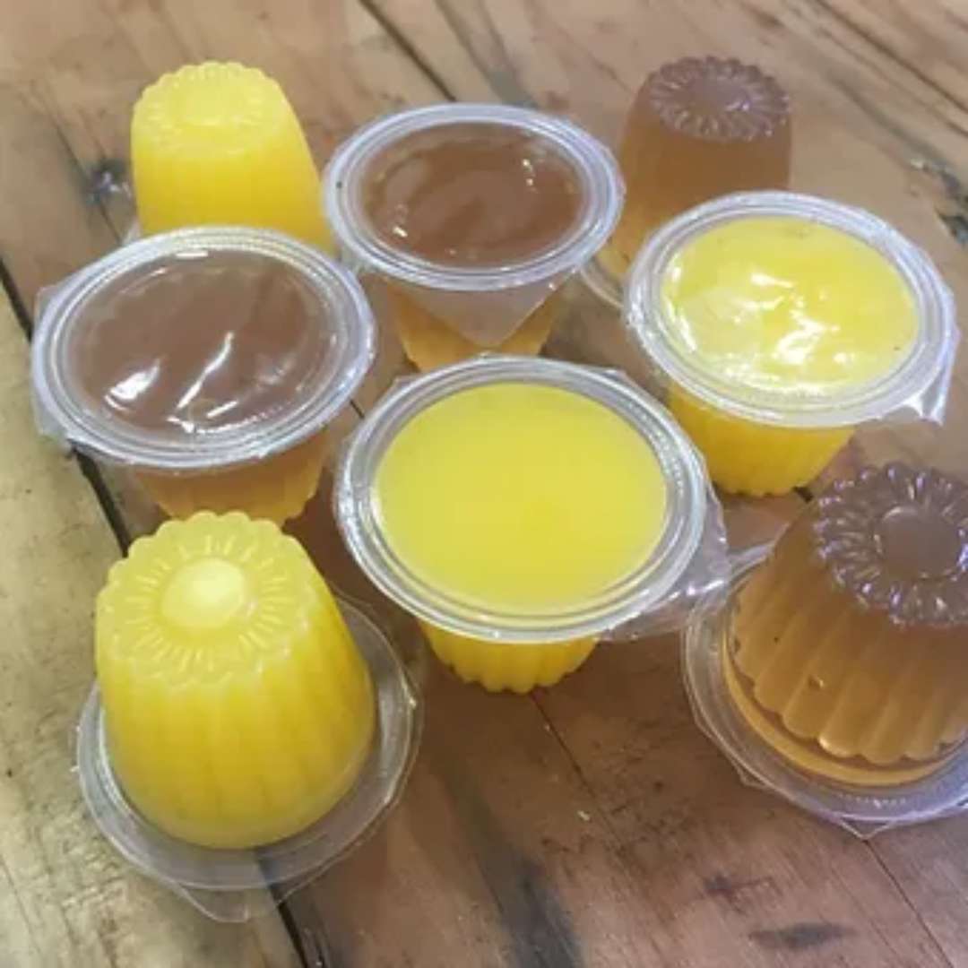 Beetle Jelly - Gelée protéinée pour fourmis