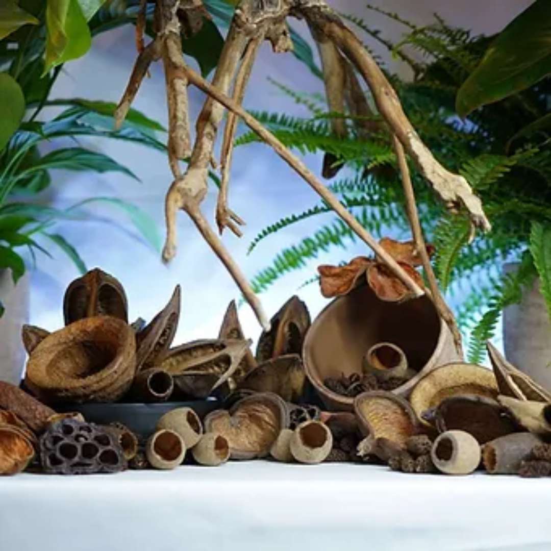 Accessoire de déco pour terrarium