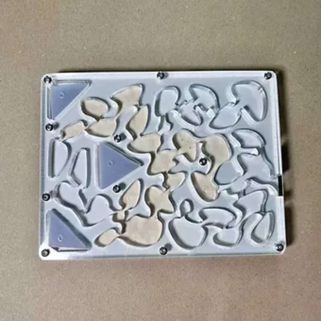 Fourmilière Plexi taille M pour Fourmis