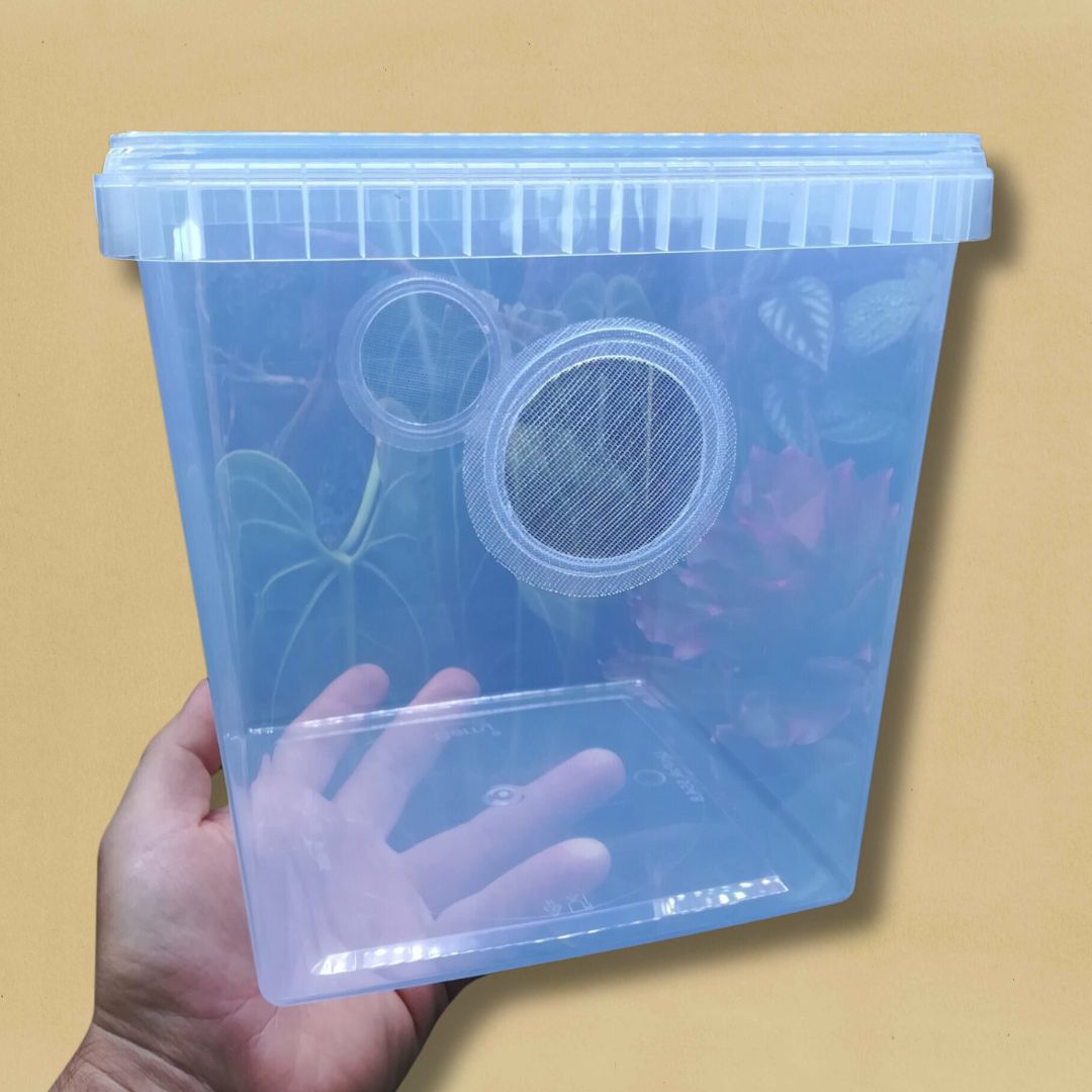 Vivarium transparent de 4L