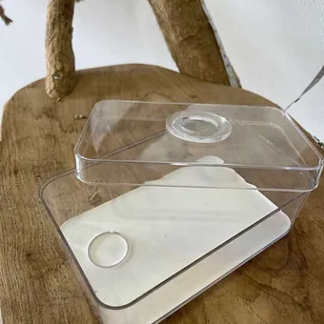 Kit ludique pour élevage coccinelles