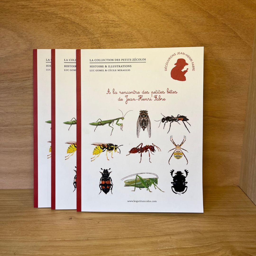 Livre - À la rencontre des petites bêtes
