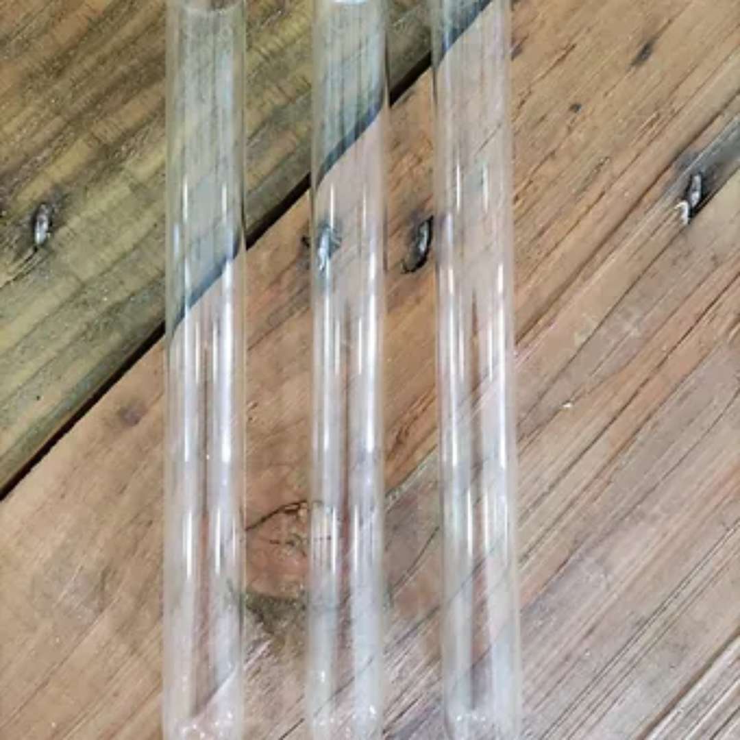 Tube à essai pour fourmis en vente
