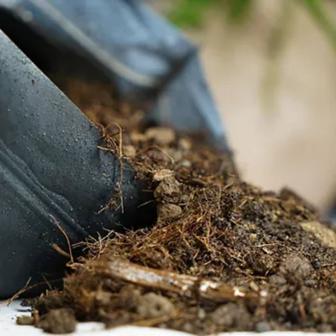 Vente substrat pour terrarium
