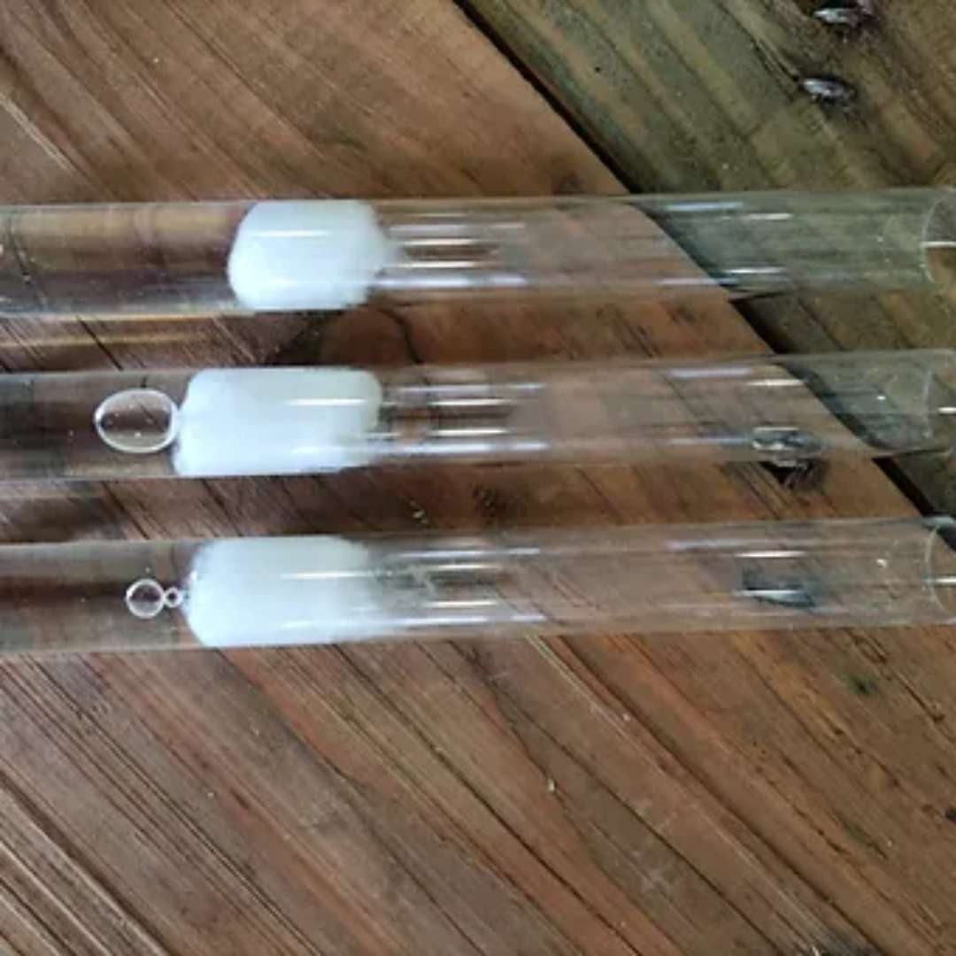 Vente tube à essai pour fourmis