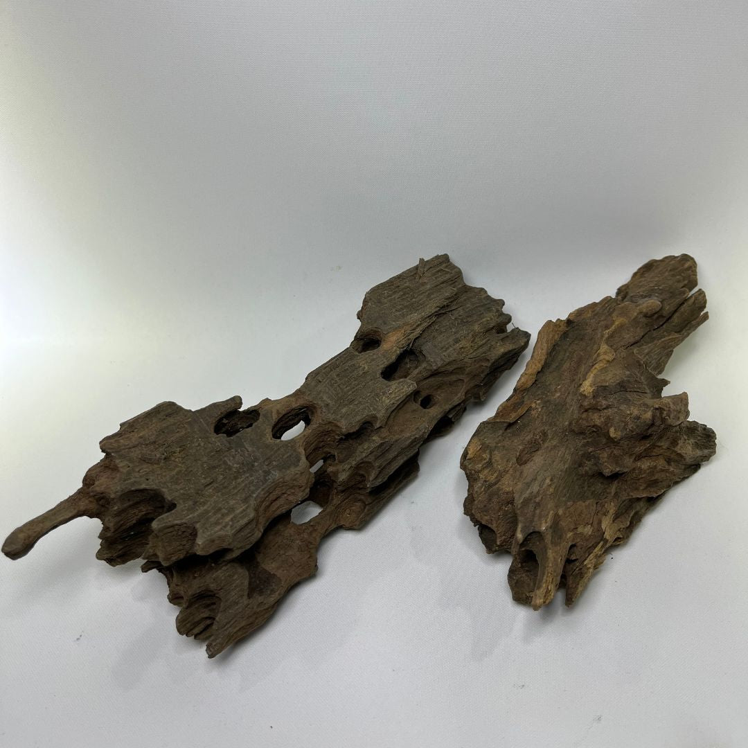 Accessoire de déco pour vivarium