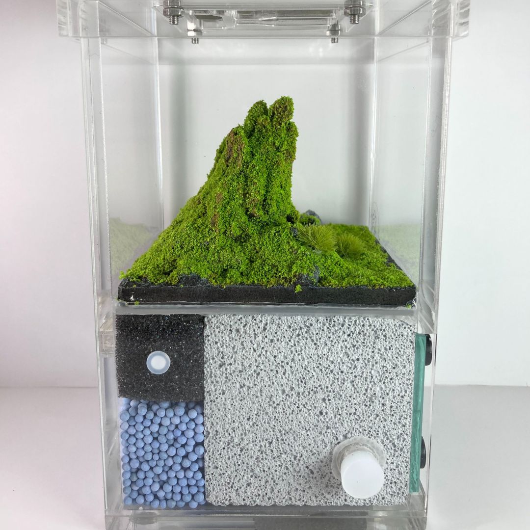 Formicarium biorama