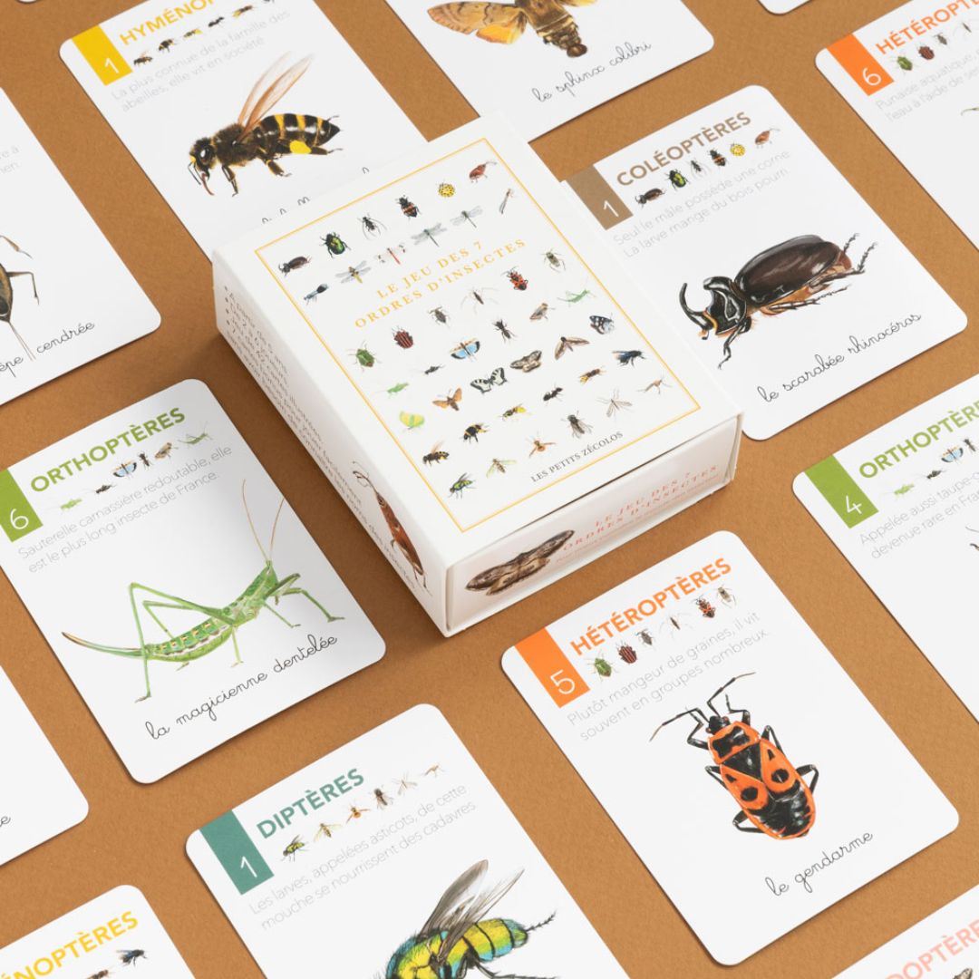 Jeu de Carte - 7 familles