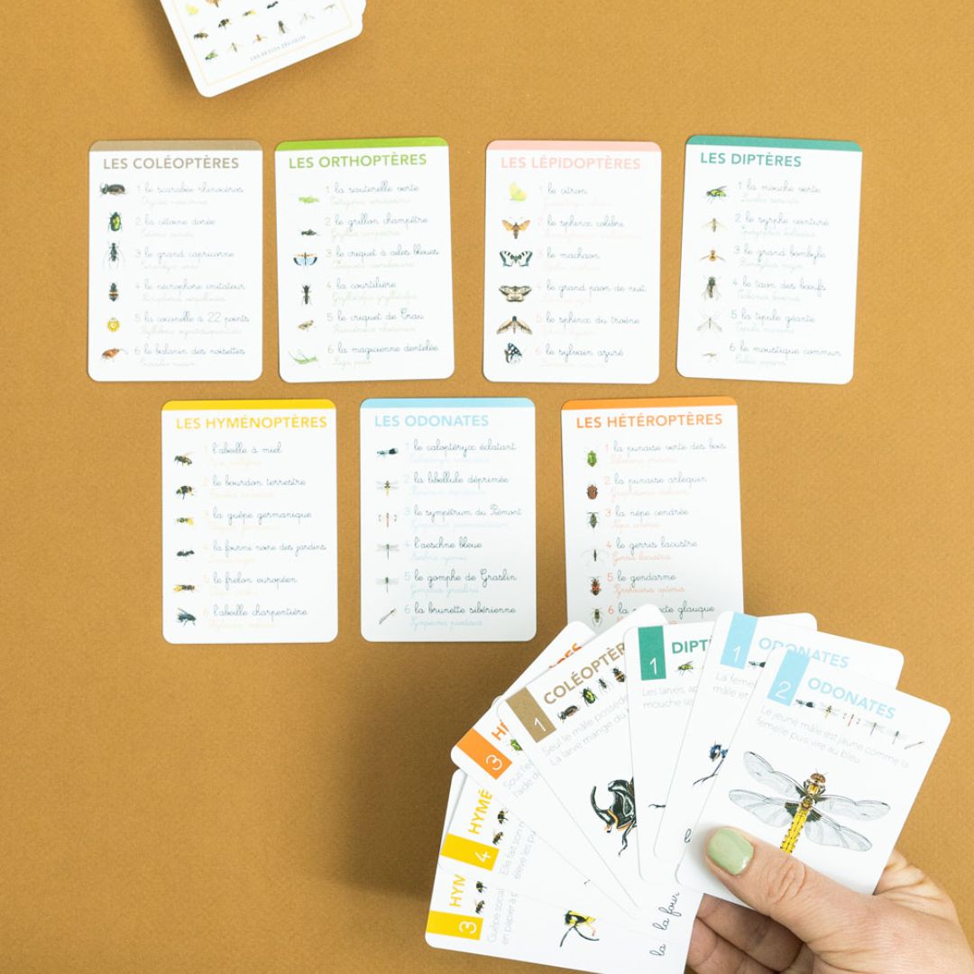 Jeu de Carte - 7 familles
