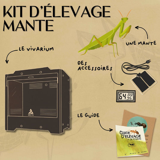 Kit d'élevage de mante