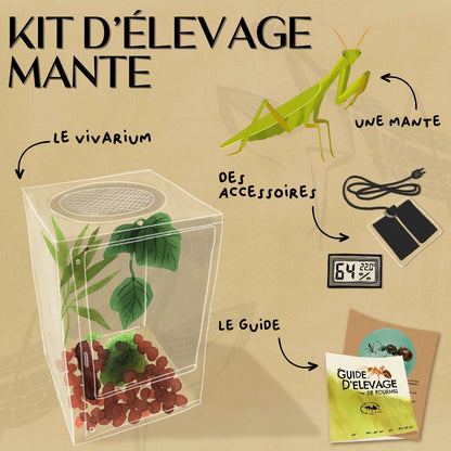 Kit d'élevage de mante
